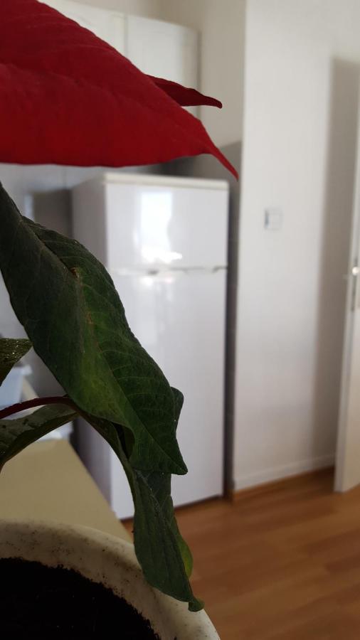 Oliver Ravlic Apartment Makarska